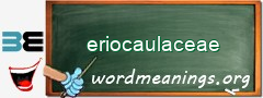 WordMeaning blackboard for eriocaulaceae